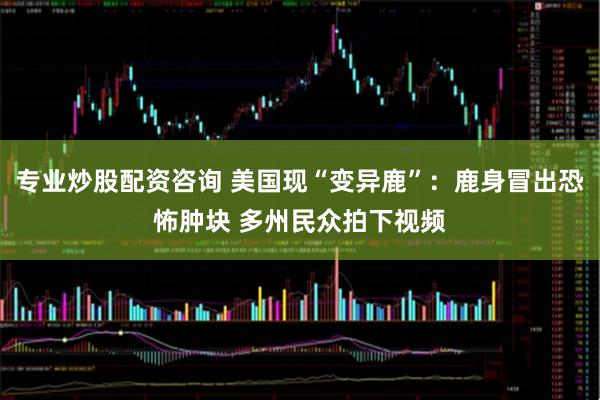专业炒股配资咨询 美国现“变异鹿”：鹿身冒出恐怖肿块 多州民众拍下视频