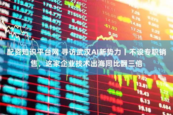 配资知识平台网 寻访武汉AI新势力丨不设专职销售，这家企业技术出海同比翻三倍