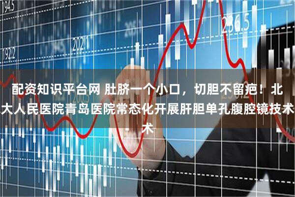 配资知识平台网 肚脐一个小口,切胆不留疤!北大人民医院青岛医院常态化开展肝胆单孔腹腔镜技术