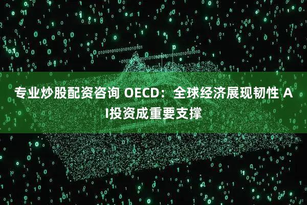 专业炒股配资咨询 OECD:全球经济展现韧性 AI投资成重要支撑