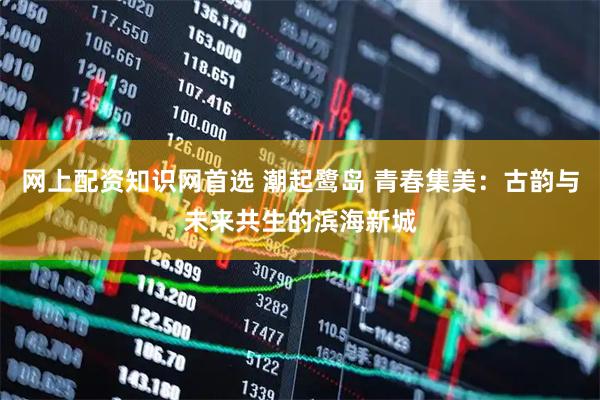 网上配资知识网首选 潮起鹭岛 青春集美：古韵与未来共生的滨海新城