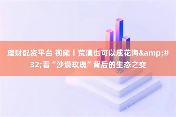 理财配资平台 视频丨荒漠也可以成花海 看“沙漠玫瑰”背后的生态之变