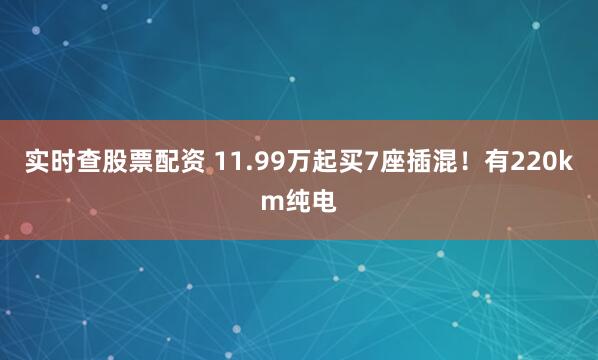 实时查股票配资 11.99万起买7座插混！有220km纯电